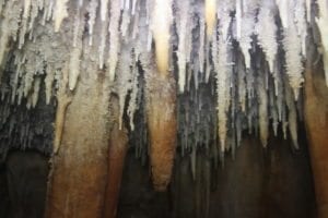 טיול מערות - סנפלינג במערת נטיפים