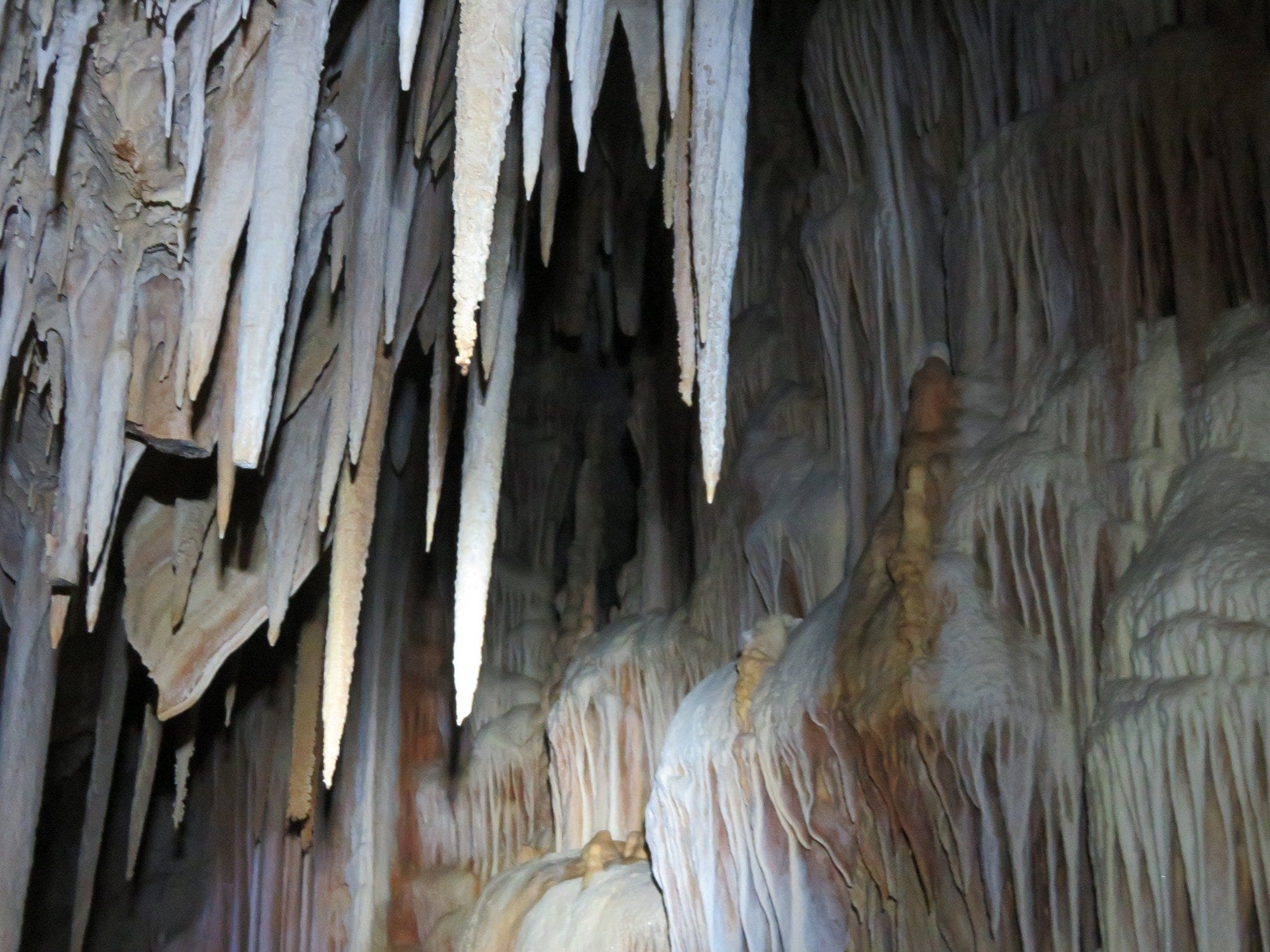 נטיפים משוגעים בטיול למערה עם ערוצים בטבע
