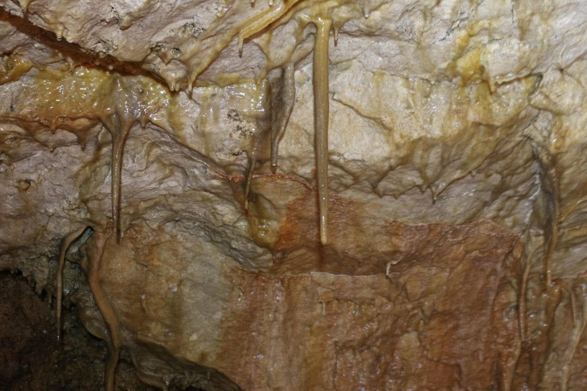 טיולי סנפליג למערות - ערוצים בטבע