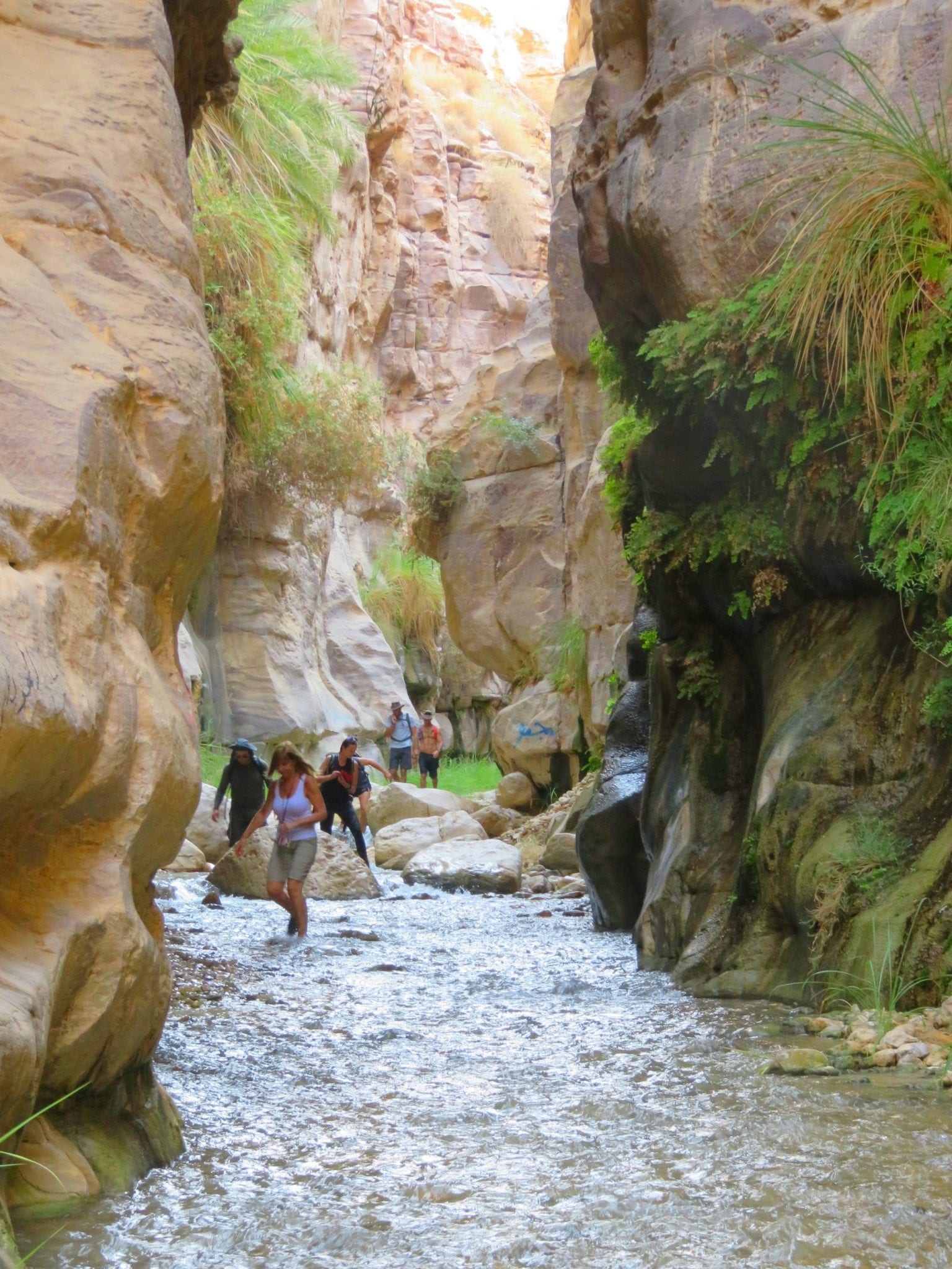 Wadi-Ghuweir, טיול לירדן, מטיבי לכת, ערוצים בטבע