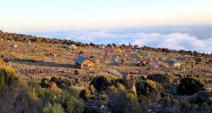 אל פיסגת הר הקילימנג'רו