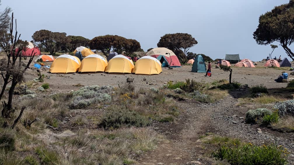 לינה באוהלים - טיפוס קילימנג'רו