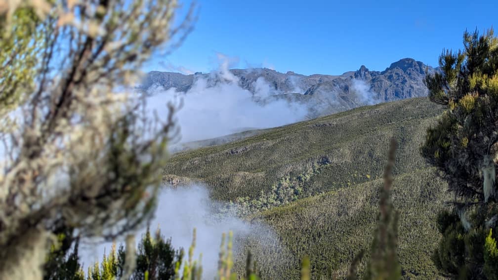 Kilimanjaro הר - ערוצים בטבע