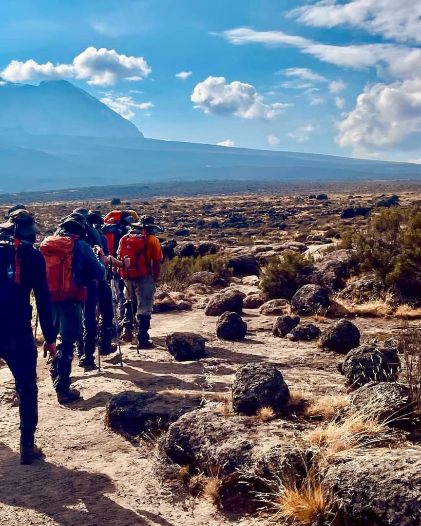 Kilimanjaro Trek ערוצים בטבע