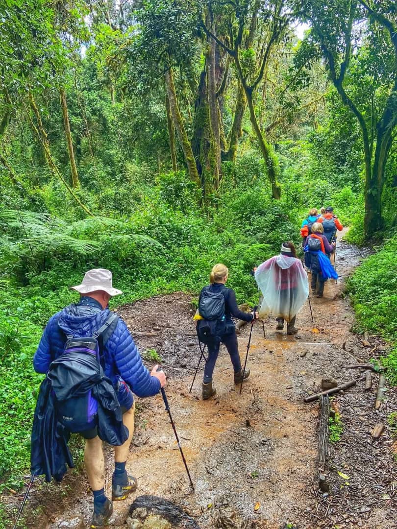 Kilimanjaro Climbing