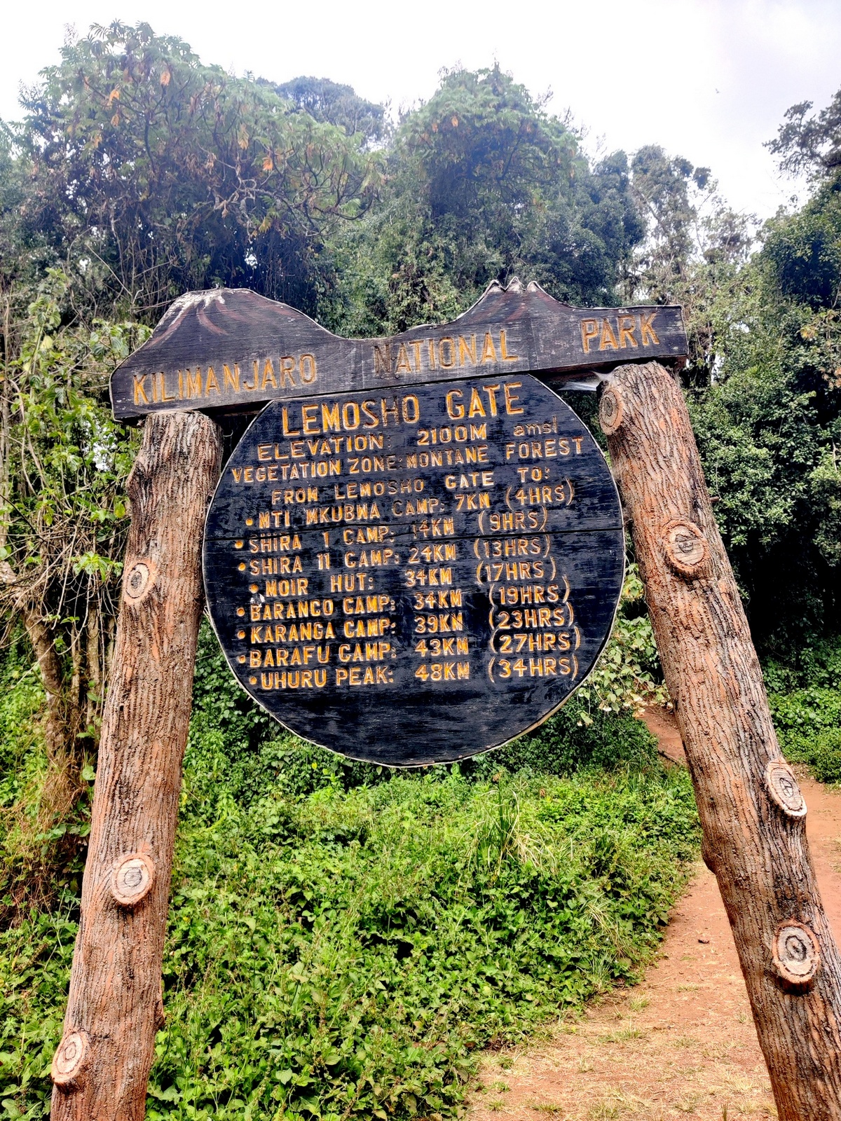 Lemosho Gate - Kilimanjaro natunal park