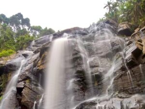 טרק מאורגן טנזניה - ערוצים בטבע