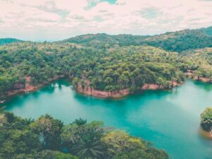 טיול בלתי נשכח טנזניה - ערוצים בטבע