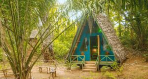 לינה טנזניה מאורגן עם ערוצים בטבע