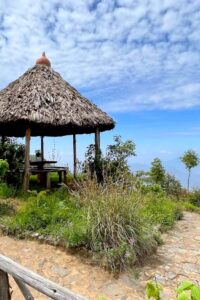 mamb טיול טנזניה עם ערוצים בטבע