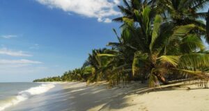 pangani טנזניה מיוחד - ערוצים בטבע