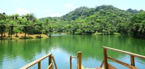 גן עדן טנזניה מאורגן - ערוצים בטבע